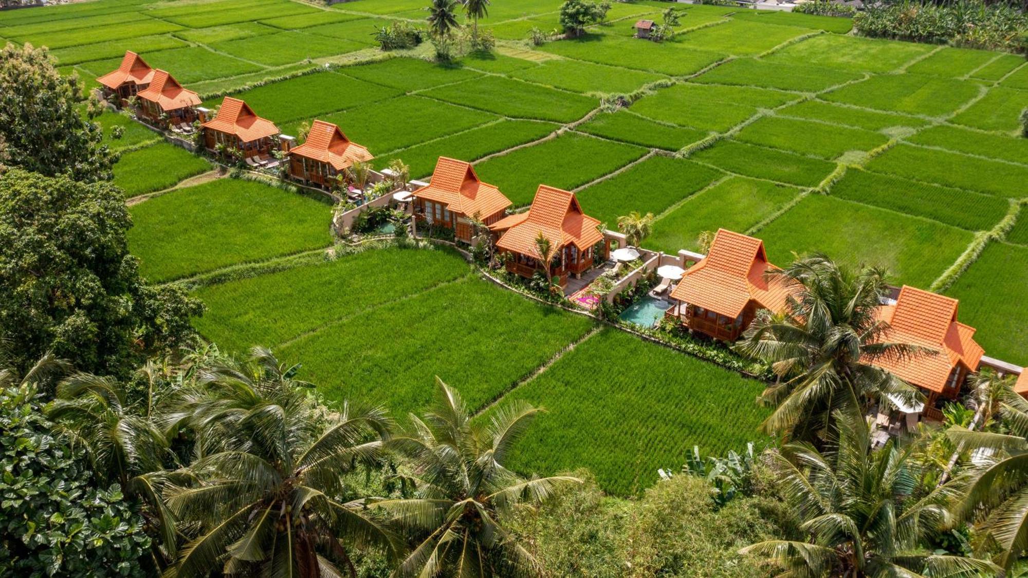 The Kalyana Ubud Resort Екстериор снимка